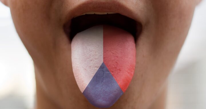 Чех тілі деңгейлері (CEFR): A1-ден C2-ге дейін толық нұсқаулық және кеңестер